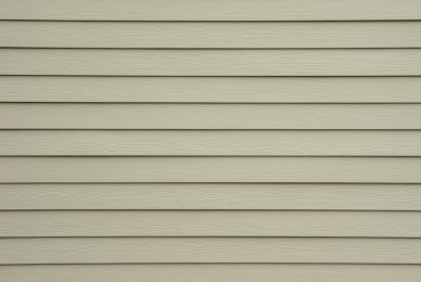 A background wall of tan shiplap siding.