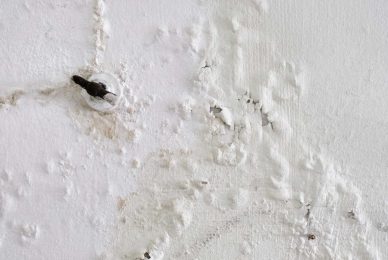 what-does-water-damage-look-like_66 (1)