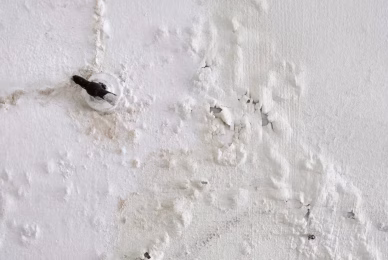 what-does-water-damage-look-like_66 (1)